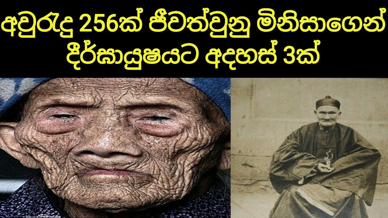 Lee Chin Yuen | අවුරුදු 256ක් ජීවත් වුන පුද්ගලයෙකුගෙන් ආදර්ශ | සිංහ දැනුම