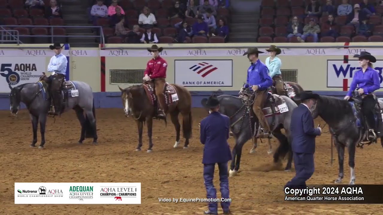 Working Western Rail - 2024 AQHA World Championship Show