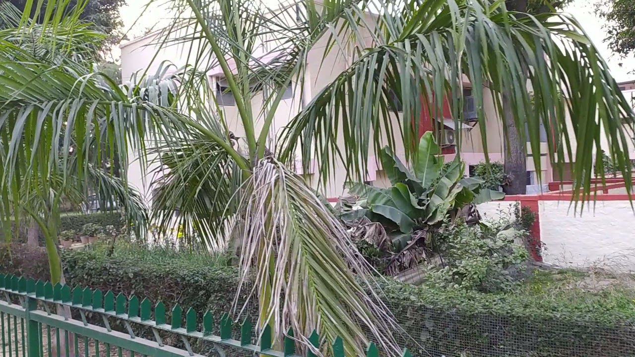 NPCIL narora exam center aligarh  up.(1)