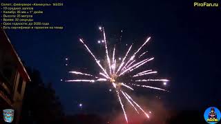 Салют, фейерверк tkb224 19 залпов больших Каникулы 25мм - 1 дюйм