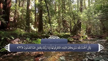 بعثت پیامبر و تأیید رسالتش - آیه 91 تا 93 سوره نمل