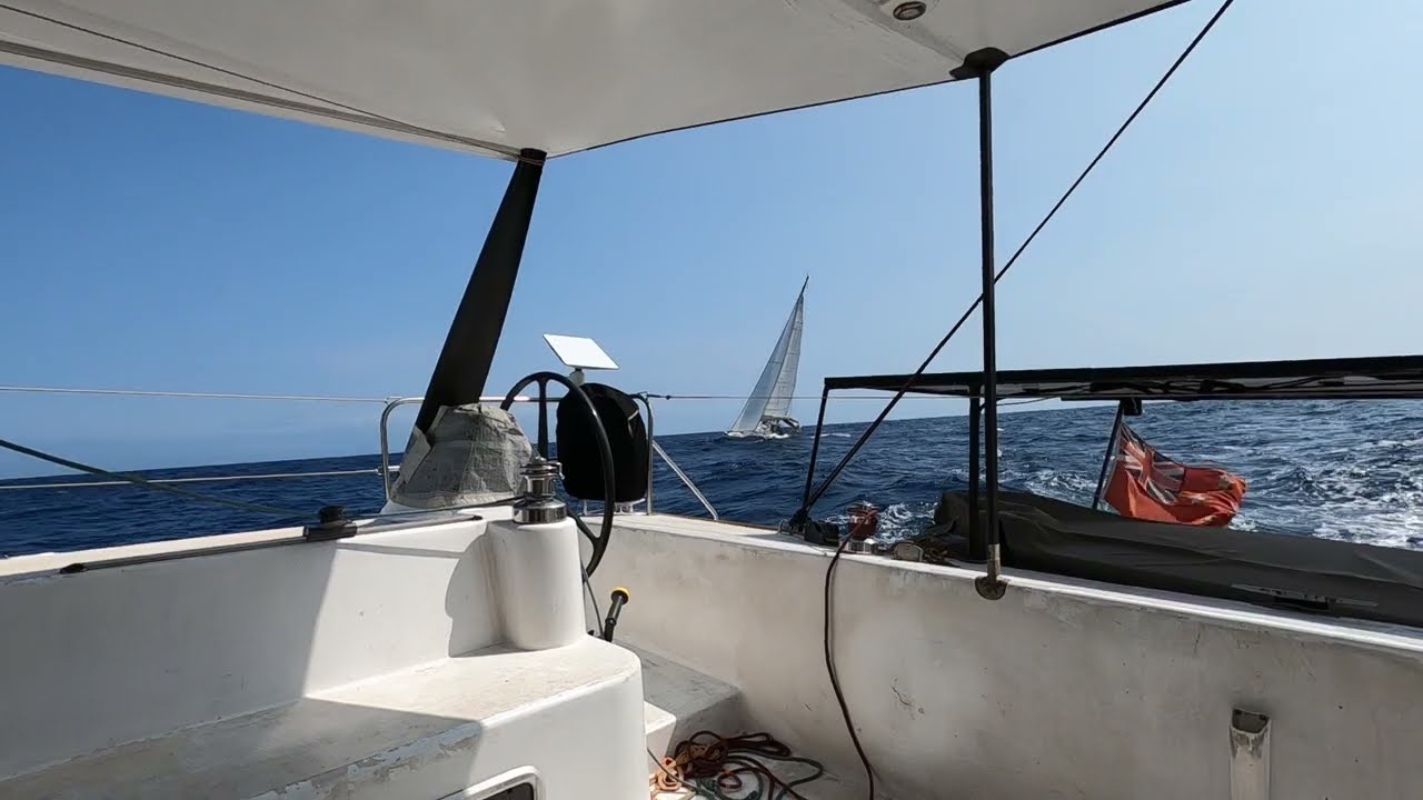 ⁣Paikea sailing UPWIND