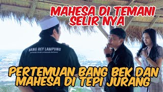 Download Lagu BANG REY TERBARU BANG BEK TERIMA TANTANGAN MAHESA DUEL DI TEPI JURANG MP3 Download Lagu BANG REY TERBARU BANG BEK TERIMA TANTANGAN MAHESA DUEL DI TEPI JURANG MP3