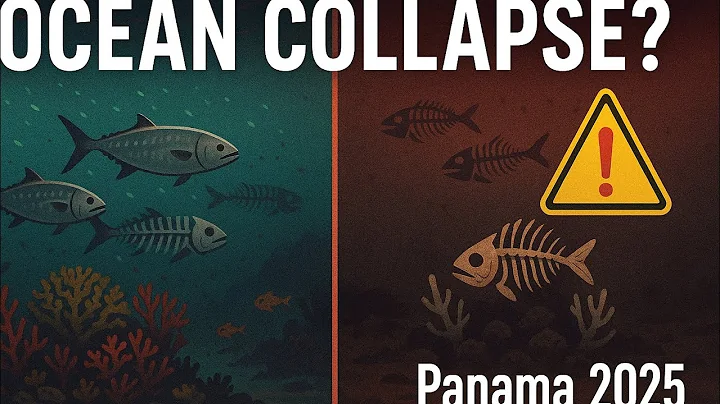 Panama’s Ocean Upwelling Collapsed in 2025 – Here’s Why It Matters