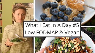 What I Eat In A Day #5 - Low FODMAP & Vegan (Recovering from IBS) screenshot 4