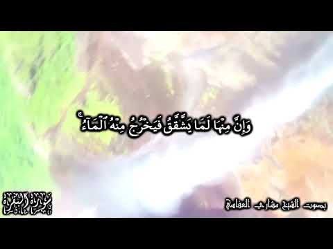 ثم قست قلوبكم من بعد ذلك فهي كالحجارة أو أشد قسوة الشيخ مشاري العفاسي