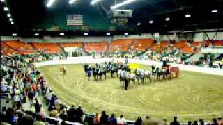 HPIM5865.MPG  Big E 2011 Draft Horse Show