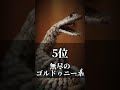シャンフロ ユニークモンスター最強ランキングTOP7