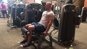 TechnoGym Seated Machine Hamstring Curl