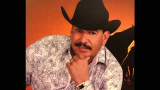 Que Me Lleve El Diablo El Gato De Chihuahua