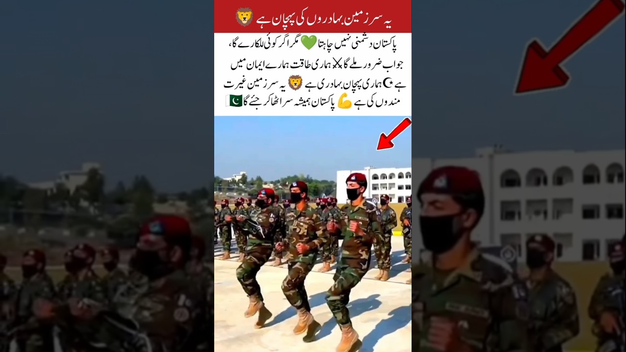 💚 Proud to Be Pakistani 