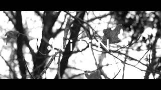 Vul Prem Nilin Official Video