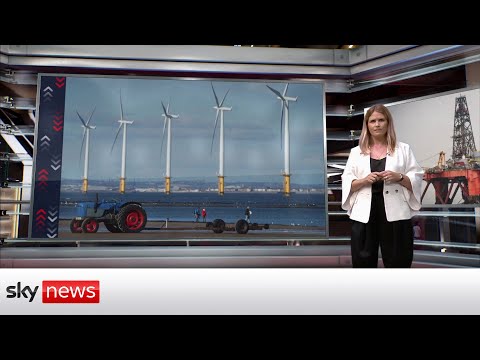 Cost of living: what are liz truss's energy plans?