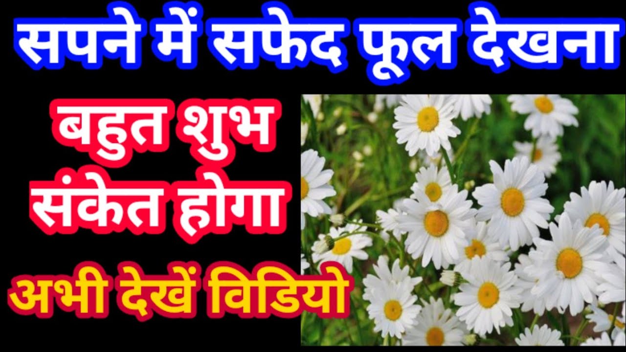 Sapne Me Saphed Ful Dekhna Seeing White sapne-me-saphed-ful-dekhna-seeing-white