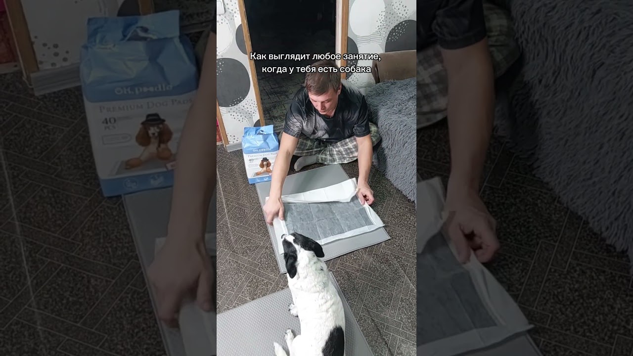 Артикул WB: 765794983 OZON: 3407477622 ЯМ: 5049161769  пеленки с бамбуковым углем от OK,Poodle 