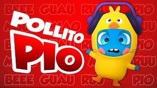 Video thumbnail of "🐣 El Pollito Pio 🐥 Il Pulcino Pio 🐤 Official cover by Baby Moonies"