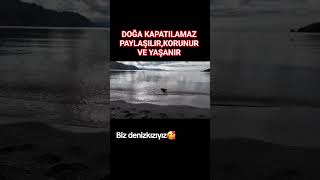 Doğa Kapatilamaz Sadece Paylaşilir,Korunur Ve Yaşanirnlice Ğla