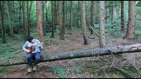 ' Time After Time ' I find myself in the woods with this clown.. Lush bird song again though (cover)