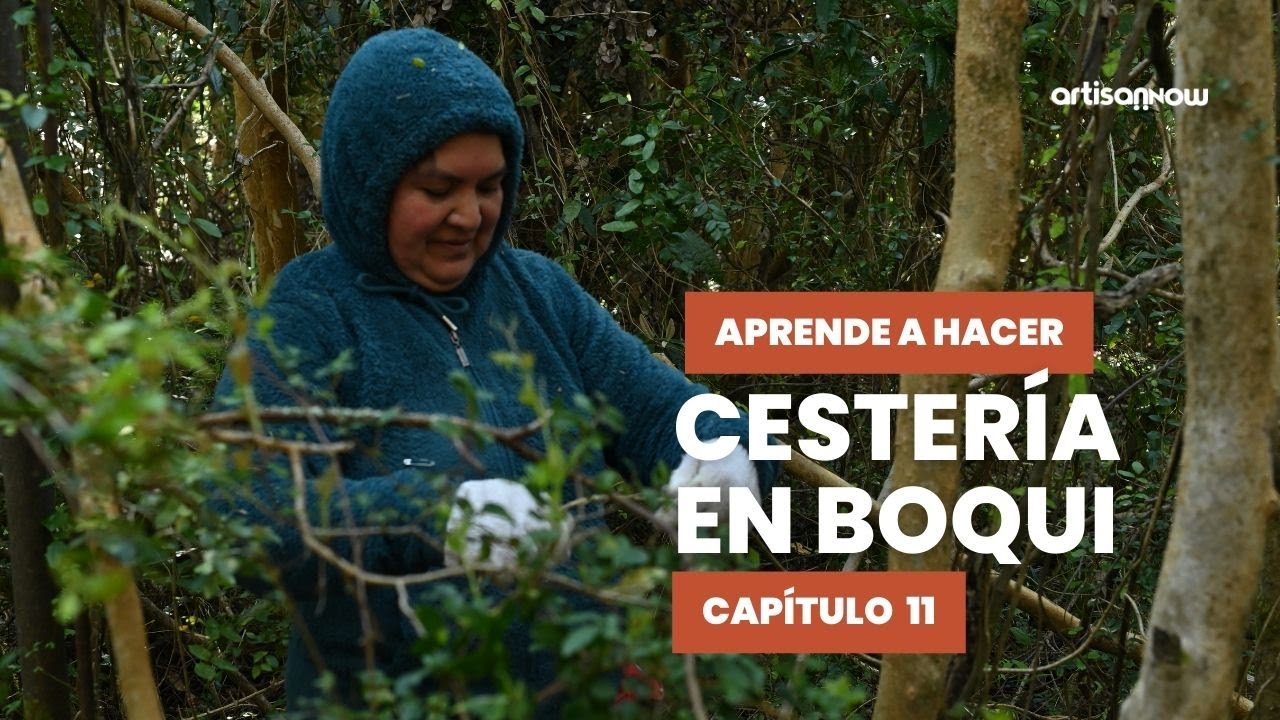 Curso Gratis de Cestería en Boqui con Teresa Vargas. Cap. 11 - YouTube
