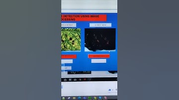 PLANT LEAF DISEASE DETECTION USING IMAGE PROCESSING
