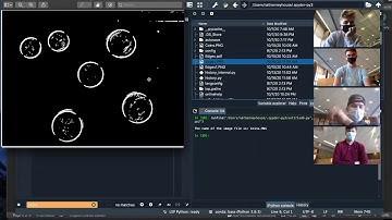 ENGR 133 Team Project Fall 2020
