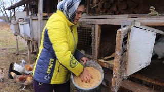 картинка: Усердная деревенская работа и пельмени с баклажанами.