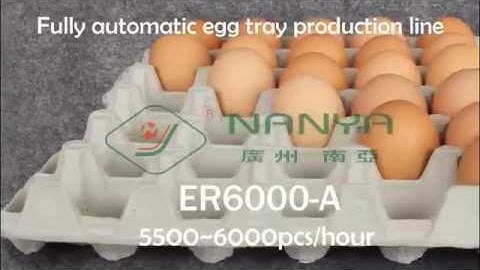 Fully Automatic Pulp Molded Rotary Egg Tray Machinery  with 6000pcs/h