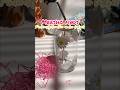 Pinteresty glass tumbler from @Meesho under budget 😍🎀 #trending #viral #youtubeshorts #shorts