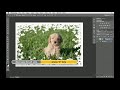 Photoshop CS6 tutorial: How to create custom borders | lynda.com