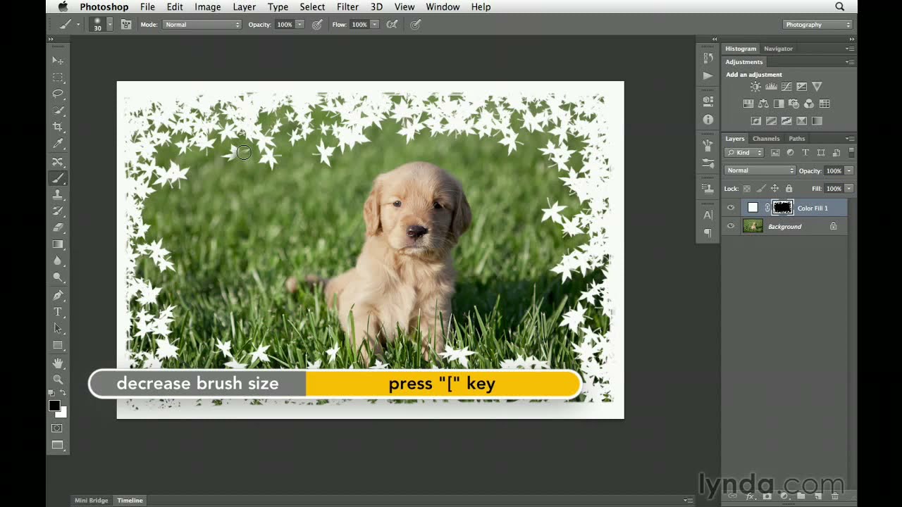 how to add clipart in photoshop cs6 - photo #2