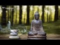 Relaxing Music for Inner Peace 9 | Meditation Music, Yoga Music, Zen Music, Sleeping, Healing