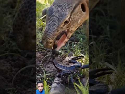 كل خطوة محسوبة وكل ثانية تغي ر مسار المعركة 