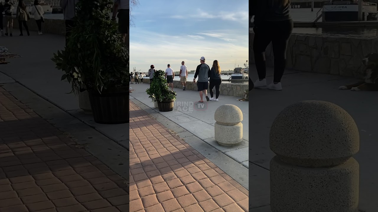 Bush Prank Reactions 🌳 ( 