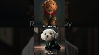 DOGS AS HARRY POTTER CHARACTERS #shorts #dogs #cutedogs #harrypotterdogs #animals