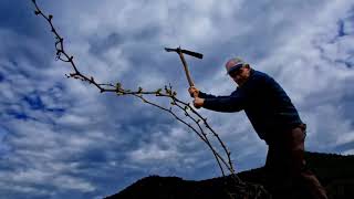 Odam Kireç Tutmuyor