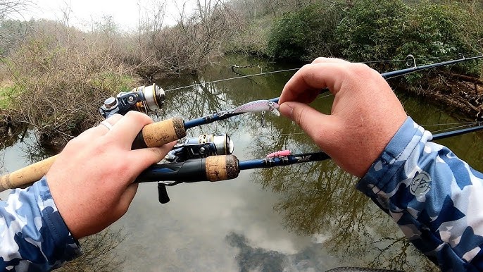 This NEW SPINNER is a TROUT CATCHING Machine!