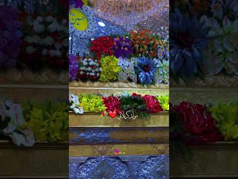 بين بالسمه هلال وخط الفرحة مرسال 