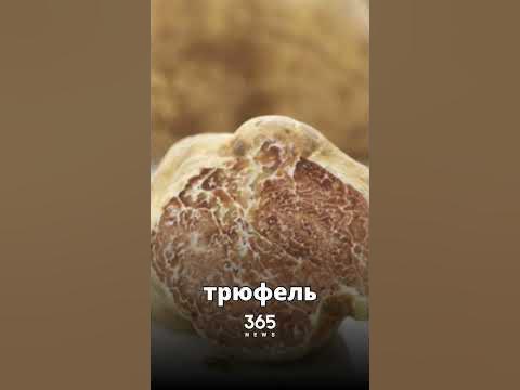 Самое дорогое мороженое в мире - YouTube