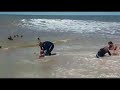 Rocha, Playa La Predera... Perrito Carballo rescatado.