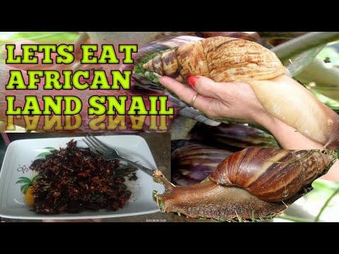 Video: Ano Ang Maaari Mong Kainin Ng Mga Snail?