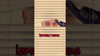 Dodo Dodo Dodo Roman Havası 2023