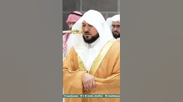 تلاوة فضيلة الشيخ د.ماهر المعيقلي من صلاة العشاء اليوم🤍 #ماهرالمعيقلي