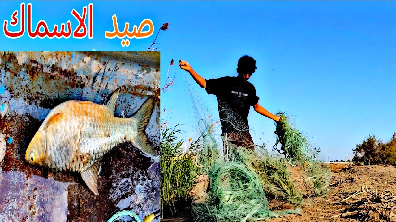 صيد السماك في نهر الفرات 