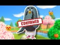 BREWSTER IS COMING!