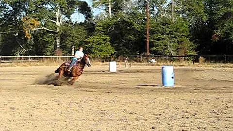 Judy Baxley 11 13 2010