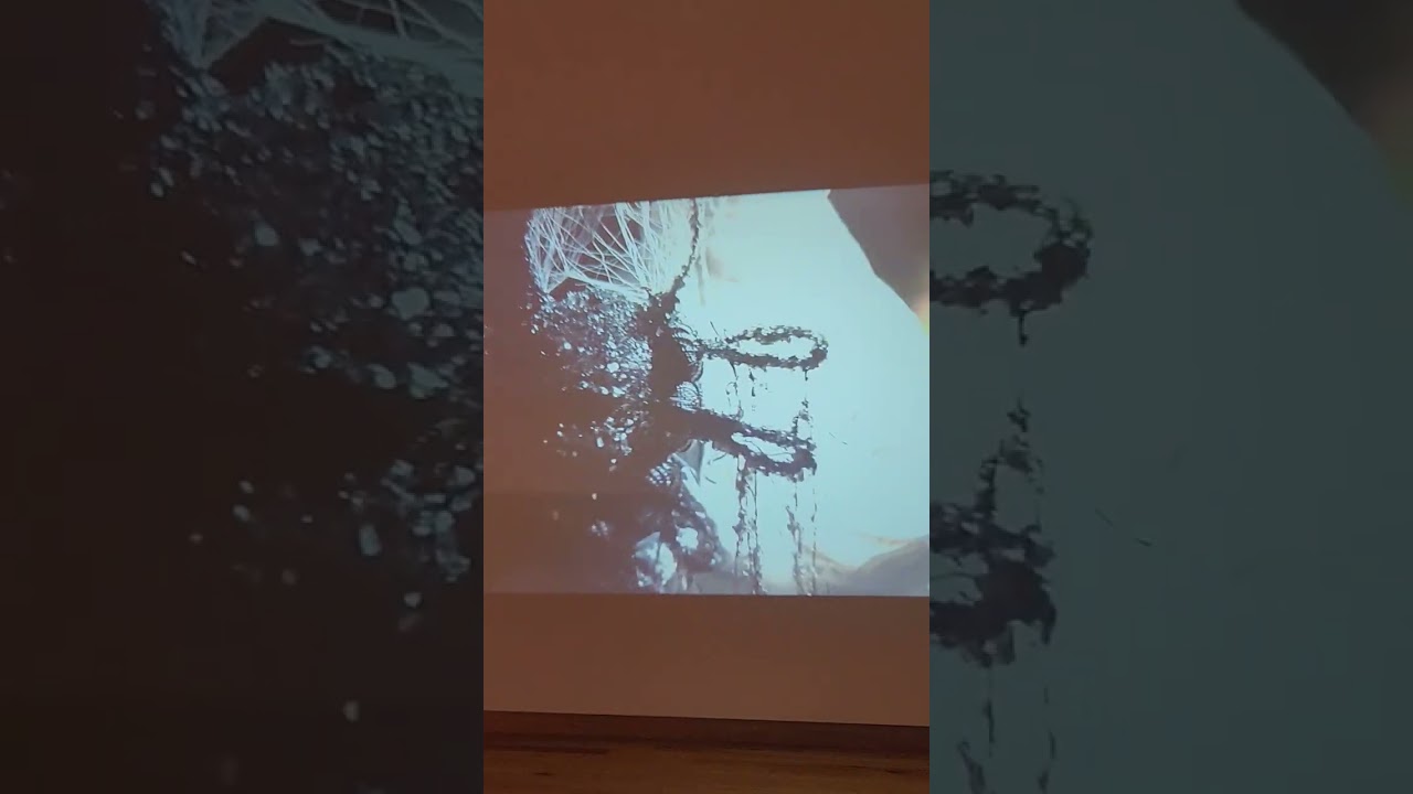 Bird art and dark video installation  by Dennis McNett and Lucien Shapiro