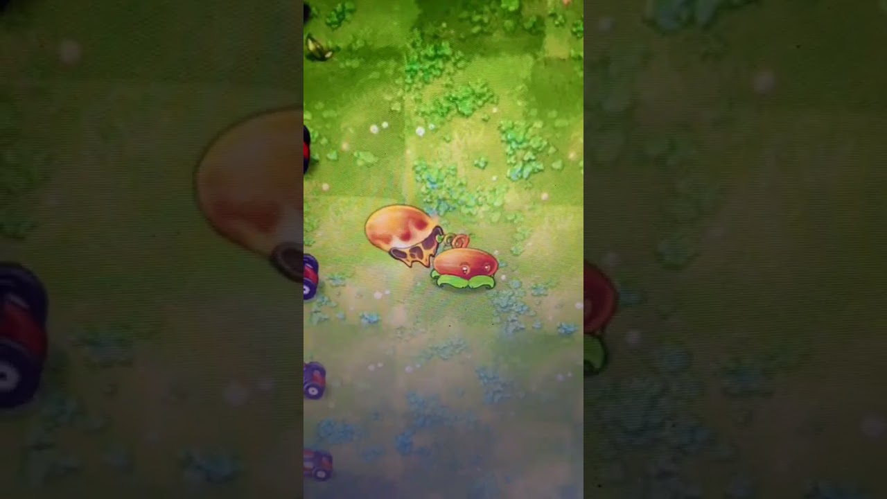 Миниатюра №82 