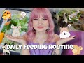 Feeding ALL of my ANIMALS🐶🐱🐭🦎🦴