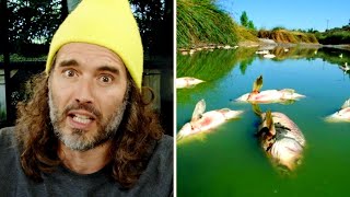 OH SH*T, It's Worse Than They're Telling You   -Russell Brand with the Truth
