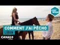 Comment j'ai pécho : Liban - L’Effet Papillon